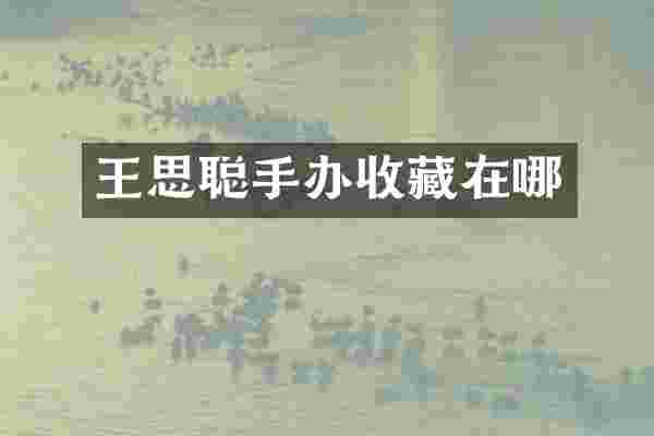 王思聪手办收藏在哪