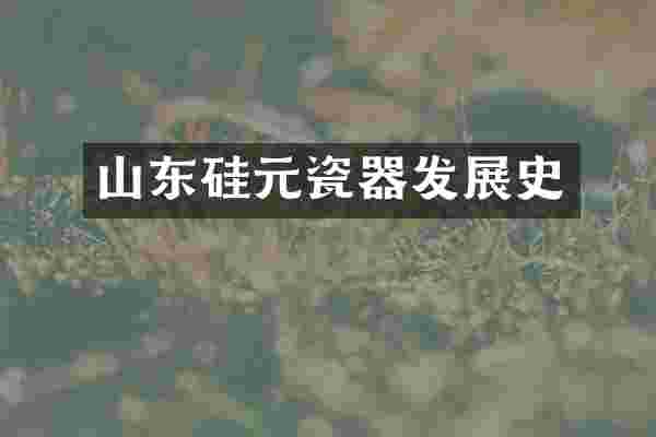 山东硅元瓷器发展史