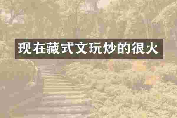 现在藏式文玩炒的很火