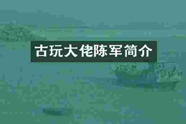 古玩大佬陈军简介