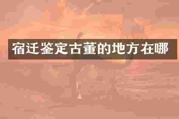 宿迁鉴定古董的地方在哪