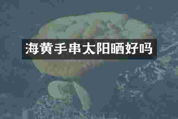 海黄手串太阳晒好吗