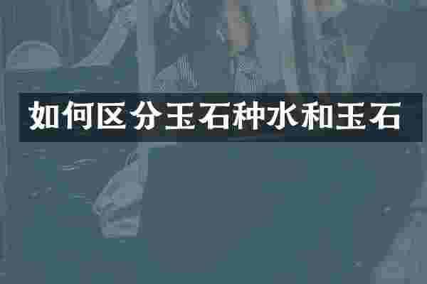 如何区分玉石种水和玉石