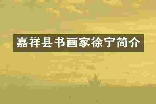 嘉祥县书画家徐宁简介