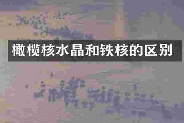 橄榄核水晶和铁核的区别