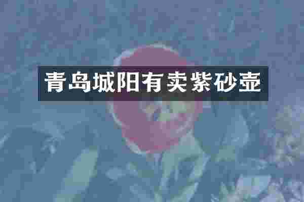 青岛城阳有卖紫砂壶