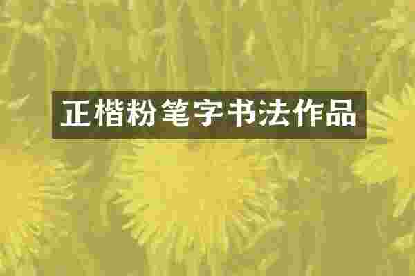 正楷粉笔字书法作品