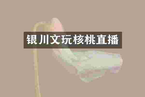 银川文玩核桃直播