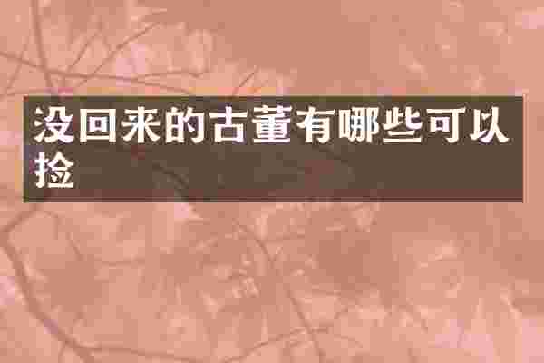 没回来的古董有哪些可以捡
