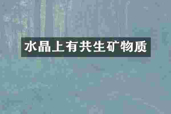 水晶上有共生矿物质