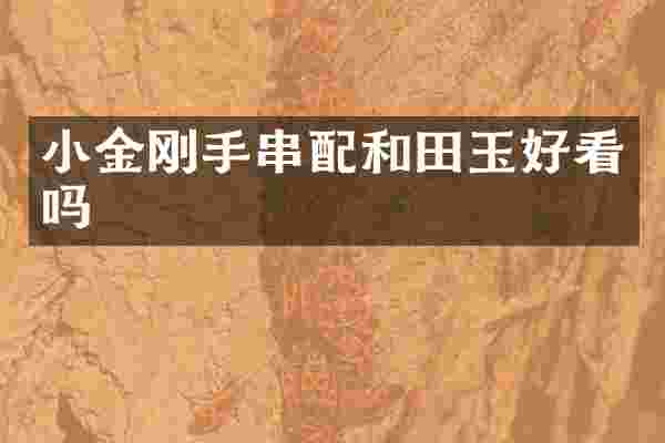 小金刚手串配和田玉好看吗