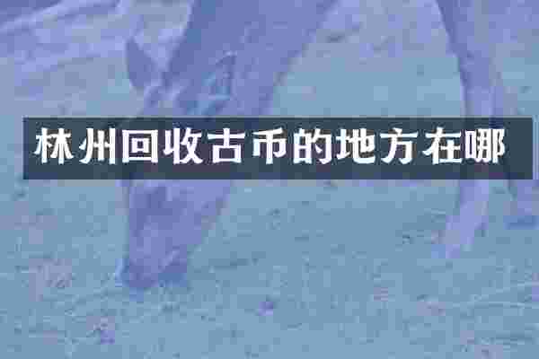 林州回收古币的地方在哪