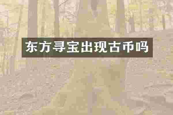 东方寻宝出现古币吗