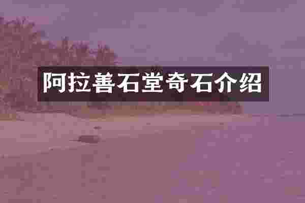 阿拉善石堂奇石介绍