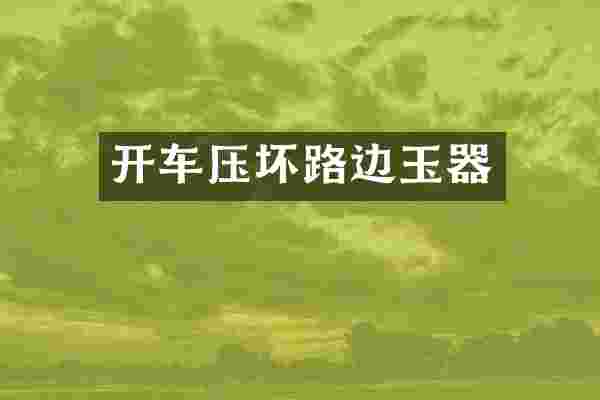 开车压坏路边玉器