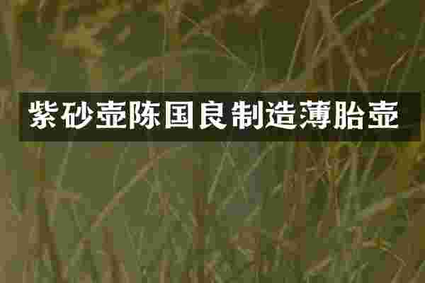 紫砂壶陈国良制造薄胎壶