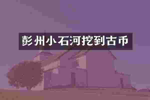 彭州小石河挖到古币