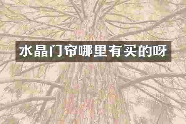 水晶门帘哪里有买的呀