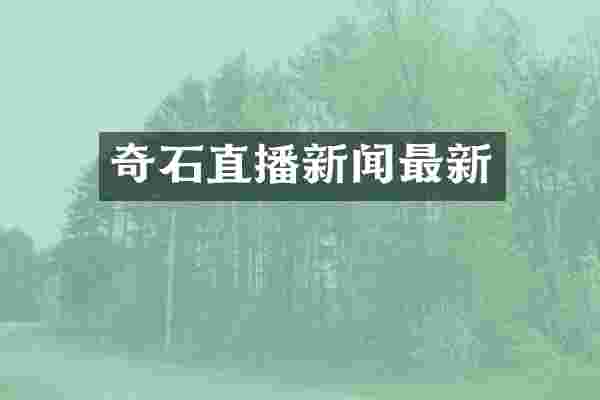 奇石直播新闻最新