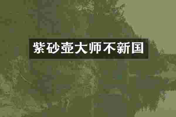 紫砂壶大师不新国