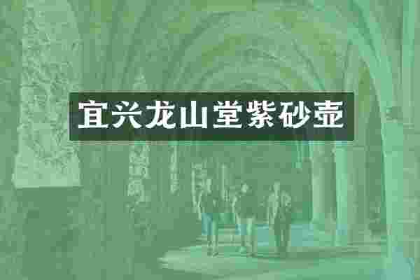 宜兴龙山堂紫砂壶