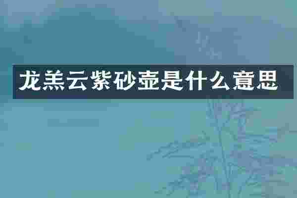 龙羔云紫砂壶是什么意思