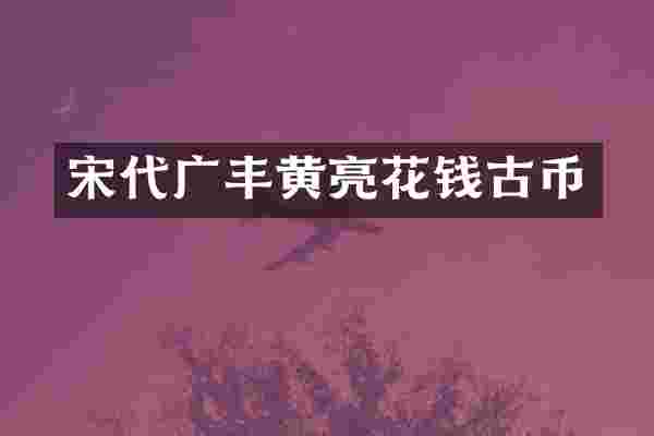 宋代广丰黄亮花钱古币
