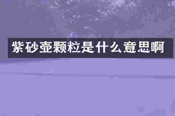 紫砂壶颗粒是什么意思啊