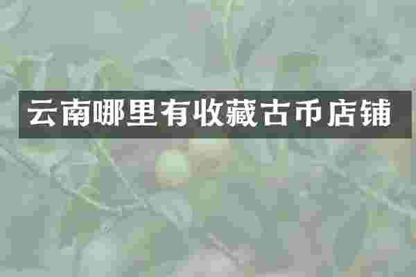 云南哪里有收藏古币店铺