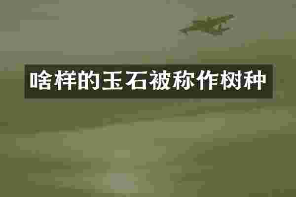 啥样的玉石被称作树种