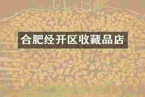 合肥经开区收藏品店