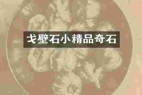 戈壁石小精品奇石