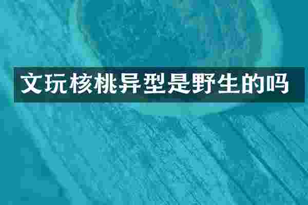 文玩核桃异型是野生的吗