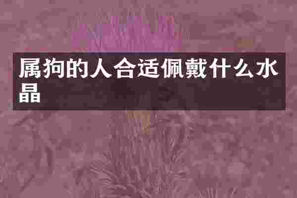 属狗的人合适佩戴什么水晶