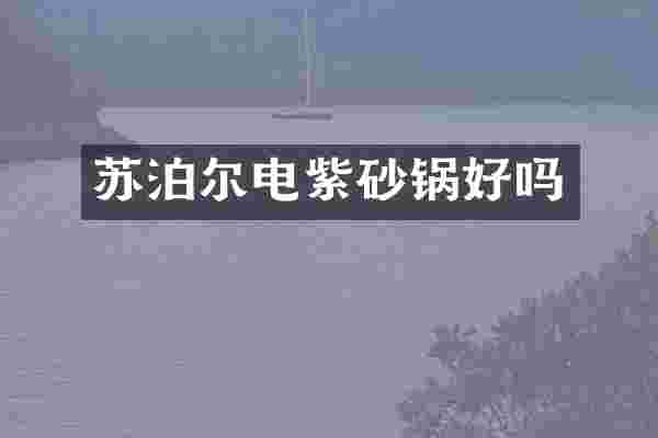 苏泊尔电紫砂锅好吗