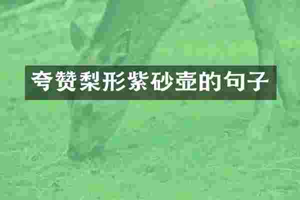 夸赞梨形紫砂壶的句子