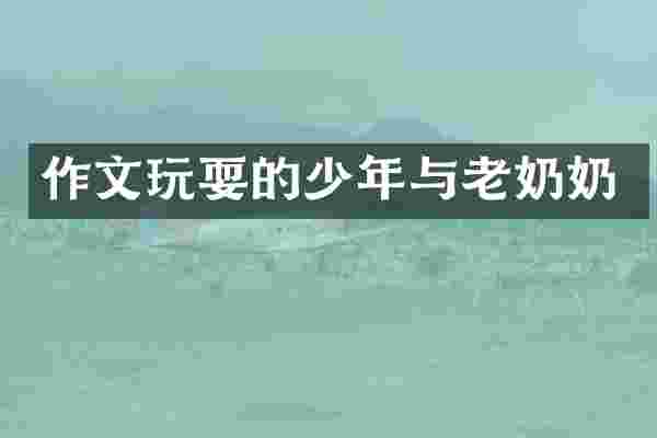 作文玩耍的少年与老奶奶