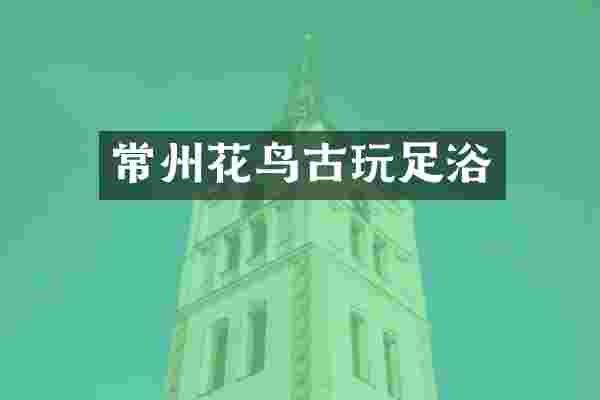常州花鸟古玩足浴