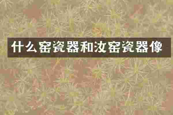 什么窑瓷器和汝窑瓷器像