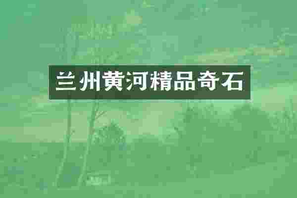 兰州黄河精品奇石