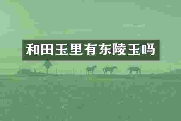和田玉里有东陵玉吗