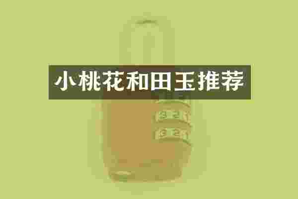 小桃花和田玉推荐