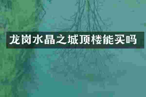 龙岗水晶之城顶楼能买吗