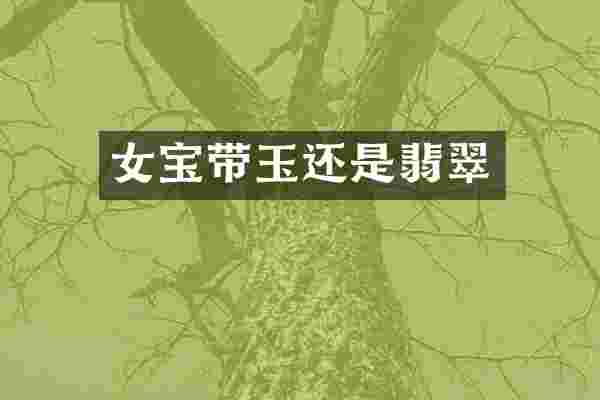 女宝带玉还是翡翠