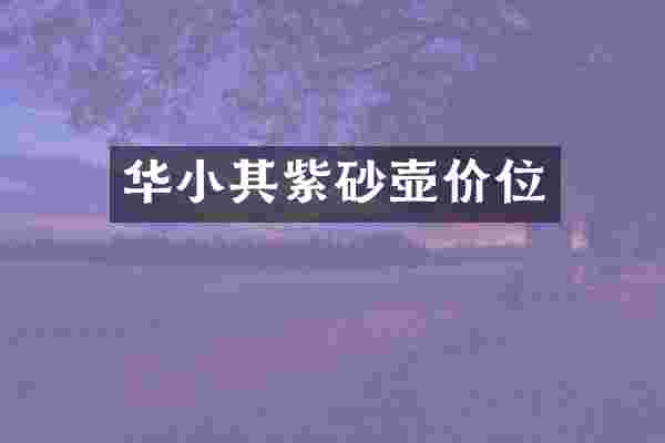 华小其紫砂壶价位