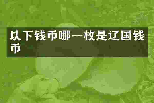 以下钱币哪一枚是辽国钱币