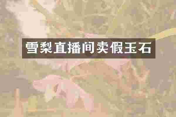 雪梨直播间卖假玉石