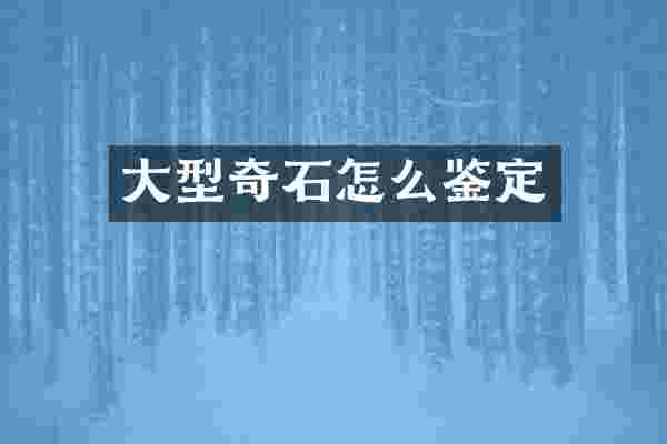 大型奇石怎么鉴定