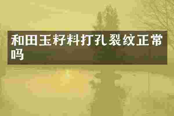 和田玉籽料打孔裂纹正常吗