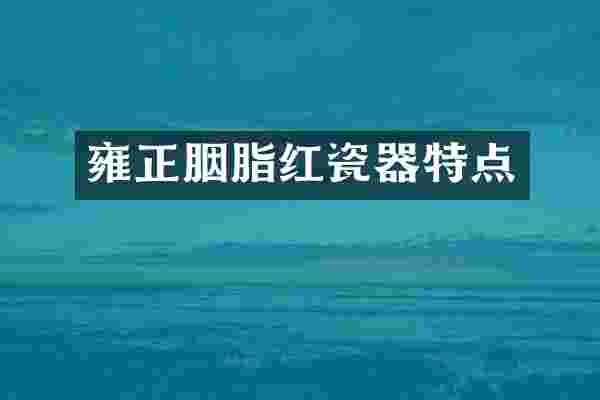 雍正胭脂红瓷器特点